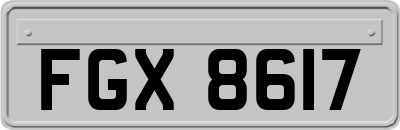 FGX8617
