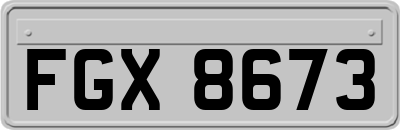 FGX8673