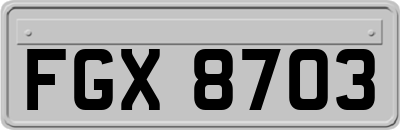 FGX8703
