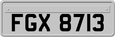 FGX8713