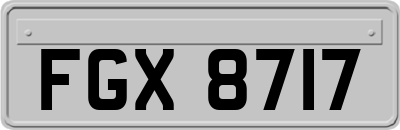 FGX8717