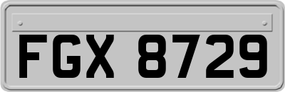 FGX8729