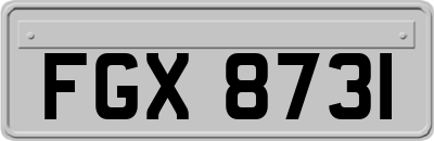 FGX8731