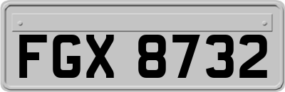 FGX8732
