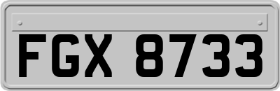 FGX8733