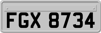 FGX8734
