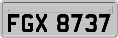 FGX8737
