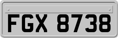 FGX8738
