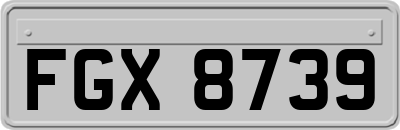 FGX8739