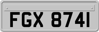 FGX8741