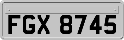 FGX8745