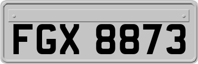 FGX8873