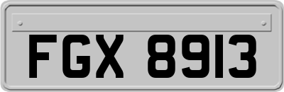 FGX8913