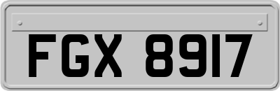 FGX8917