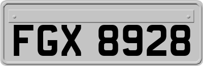 FGX8928
