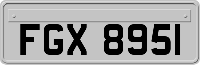 FGX8951