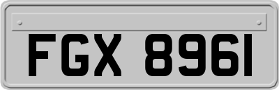 FGX8961
