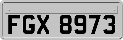 FGX8973