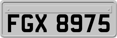 FGX8975