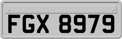 FGX8979
