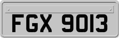 FGX9013