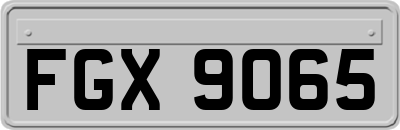 FGX9065