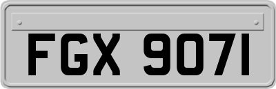 FGX9071