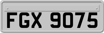 FGX9075