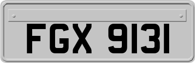 FGX9131