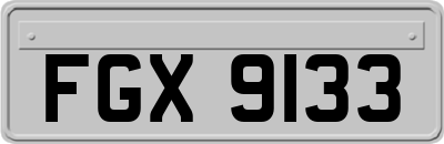 FGX9133