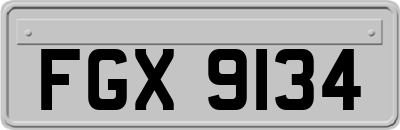 FGX9134