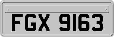 FGX9163