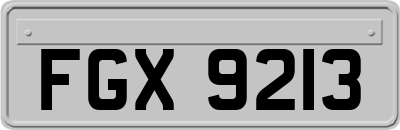 FGX9213