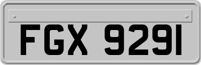 FGX9291