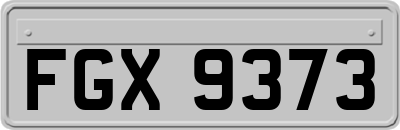 FGX9373