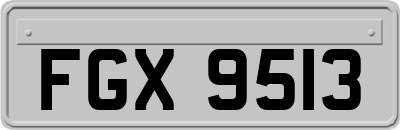 FGX9513