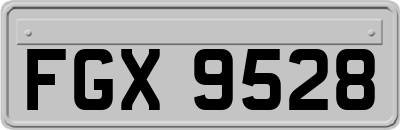 FGX9528