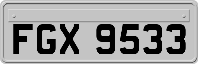 FGX9533