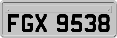 FGX9538