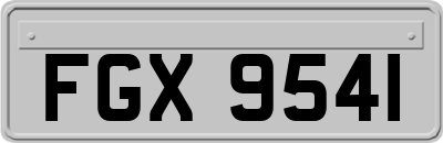 FGX9541