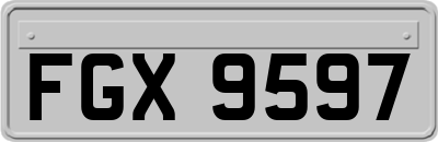 FGX9597