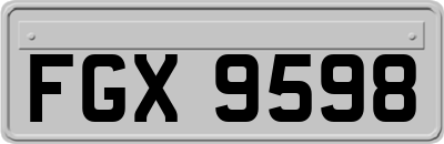 FGX9598