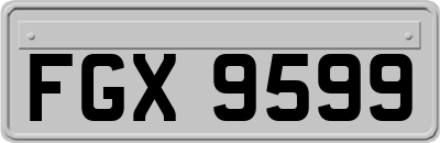 FGX9599