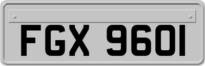 FGX9601