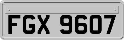FGX9607