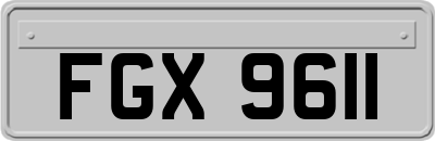 FGX9611