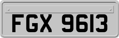 FGX9613