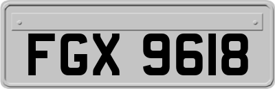 FGX9618