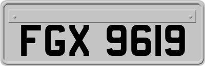FGX9619