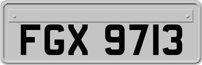 FGX9713